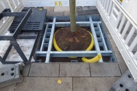 Ang br Begrüng 07.JPG