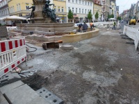 Ang br H-beet 03.JPG