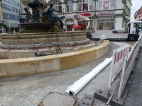 Ang br H-beet 04.JPG