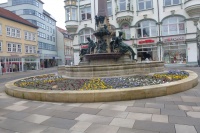 Ang br H-beet 09a.JPG