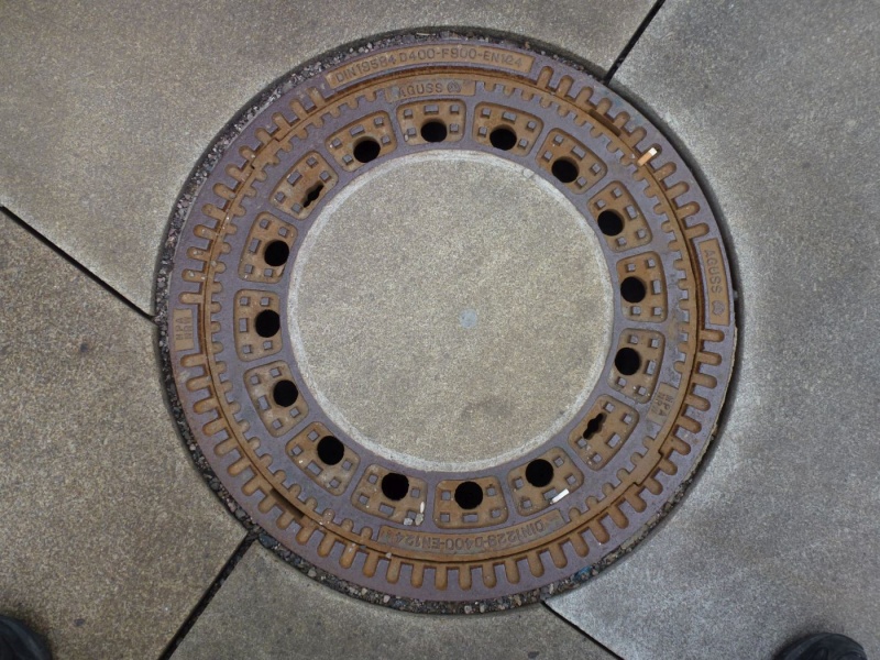 Datei:Anger viele 2013 05 01.JPG