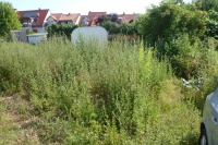 Kl Ack-hf-g v W 1 02.jpg