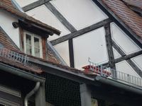 Kr-br 31 Fenster 03a.jpg