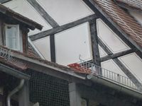 Kr-br 31 Fenster 06.jpg