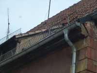 Micha-7 Details 10.jpg