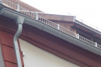 Micha-7 Details 11.jpg