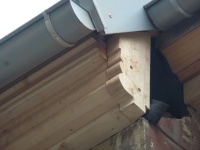 Micha-7 Details 12.jpg