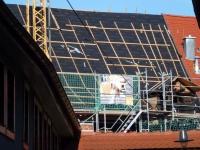 Micha-7 Rücks 03.jpg