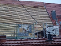 Micha-7 Rücks 04.jpg