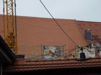 Micha-7 Rücks 07.jpg