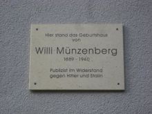 Muenzenbergnet.jpg