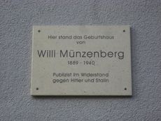 Muenzenbergnet.jpg