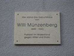 Muenzenbergnet.jpg