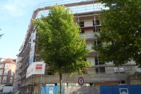 Mz-hf-Pl 5 v N 08.jpg