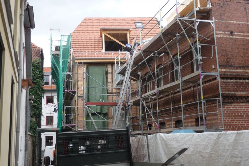 Datei:Paul 23 Rücks 06.JPG