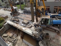 R-hs br W v N 08.jpg