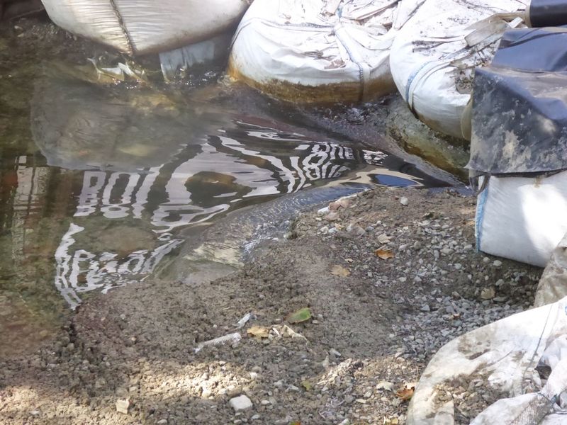 Datei:R-hs br W v O li 03.jpg