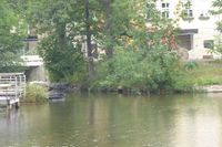 R-hs br W v S 06.jpg