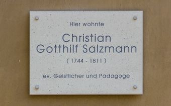 Salzmann3.jpg
