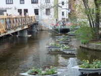 Schlö br Cafe 06.JPG