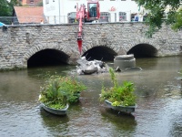 Schlö br NO v NO 07.JPG