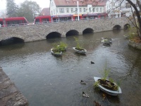 Schlö br NO v NO 09.JPG