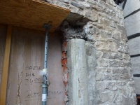 Speich Rücks 06.jpg