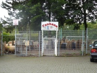 St-w-st a v W Westseite 06.jpg