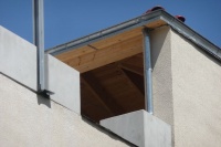 Tasch g 4 v Ibis 07.JPG