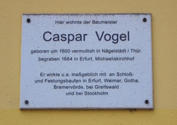 Vogel2.jpg