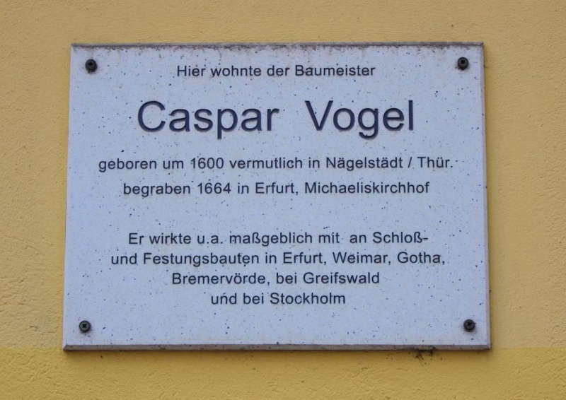 Datei:Vogel2.jpg