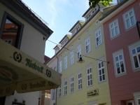 Wen-m 14-15 v NW 04.jpg